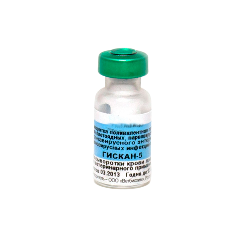 Giskan-5